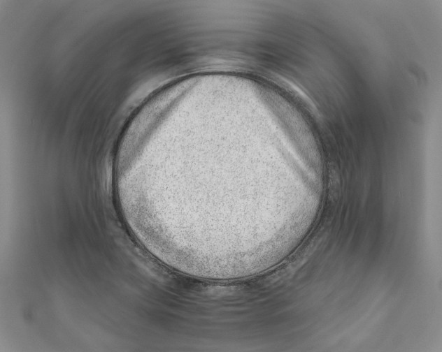 X0000110671419200907101056