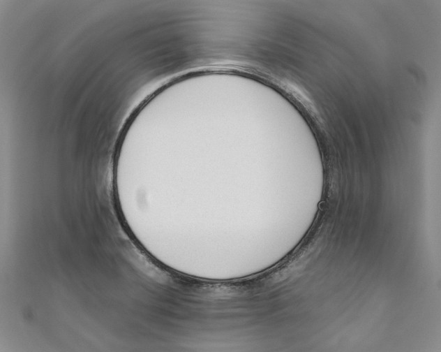 X0000110671420200907101056