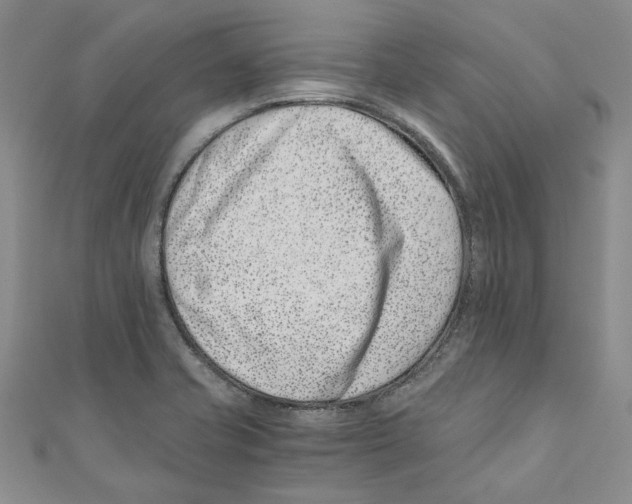 X0000110671421200907101056