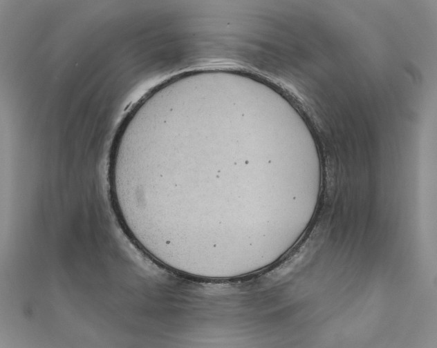 X0000110671422200907101056