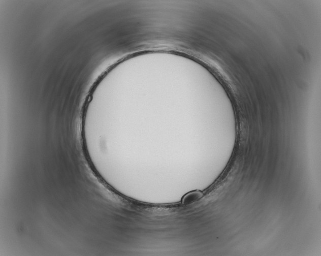 X0000110671424200907101056
