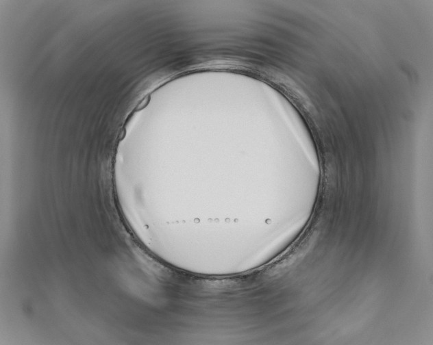 X0000110671425200907101056