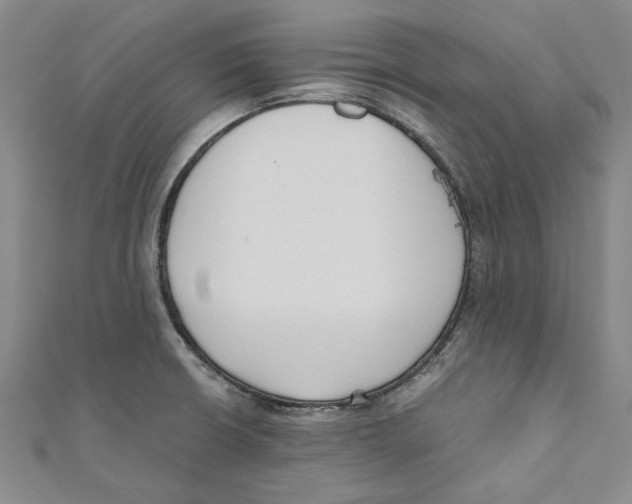 X0000110671426200907101056