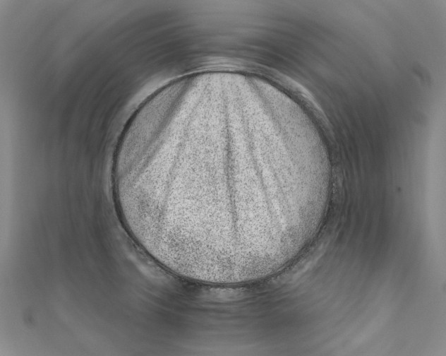 X0000110671427200907101056