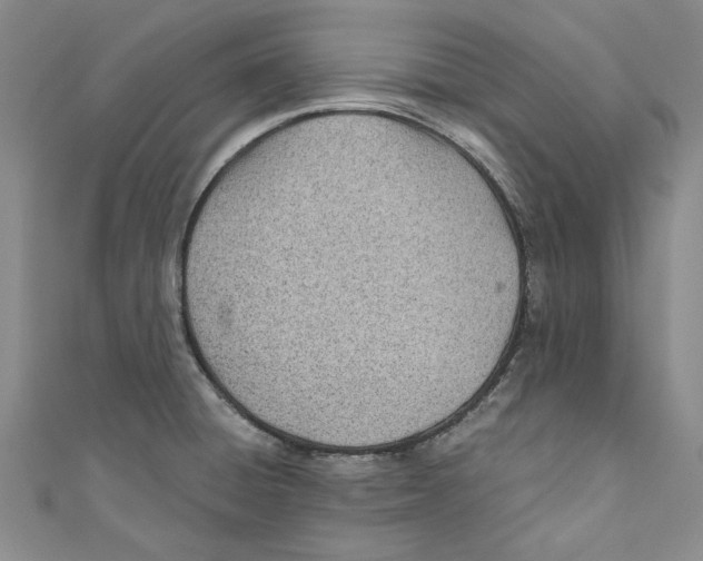 X0000110671428200907101056