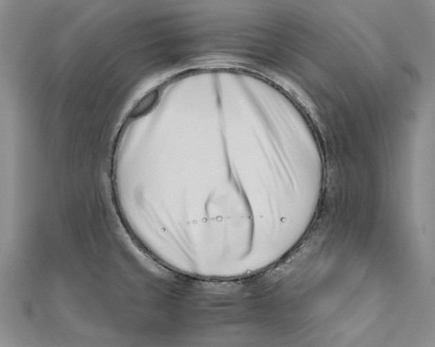 X0000110671429200907101056