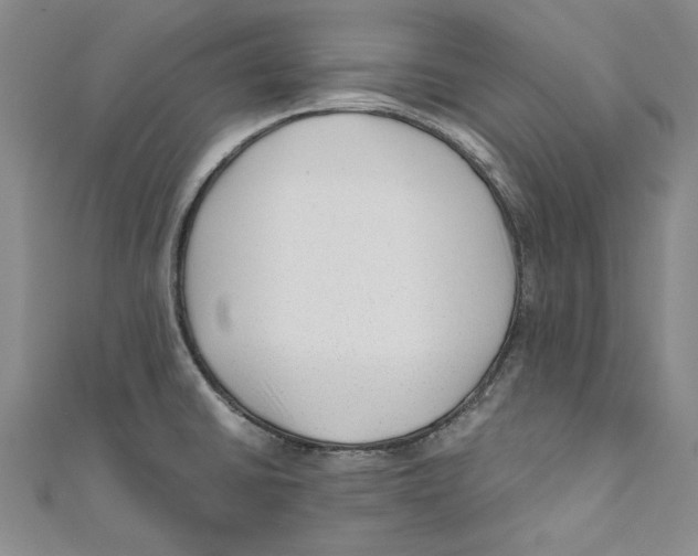 X0000110671430200907101056