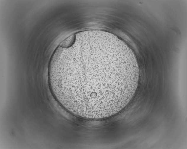 X0000110671431200907101056