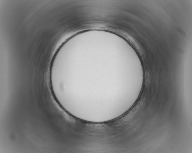 X0000110671432200907101056