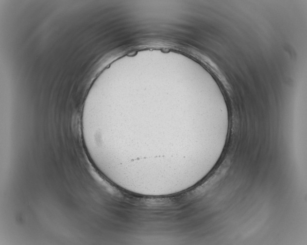X0000110671433200907101056