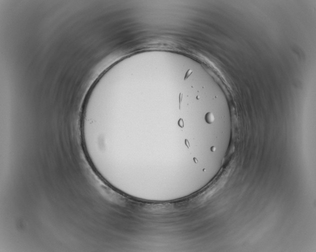 X0000110671434200907101056