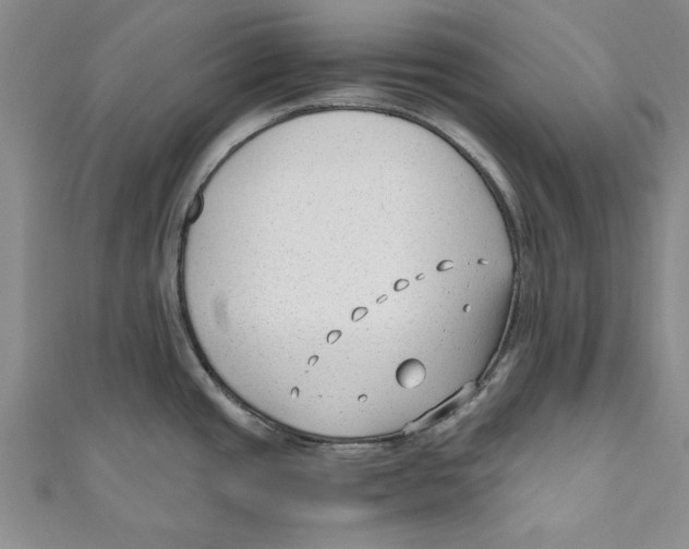 X0000110671437200907101056