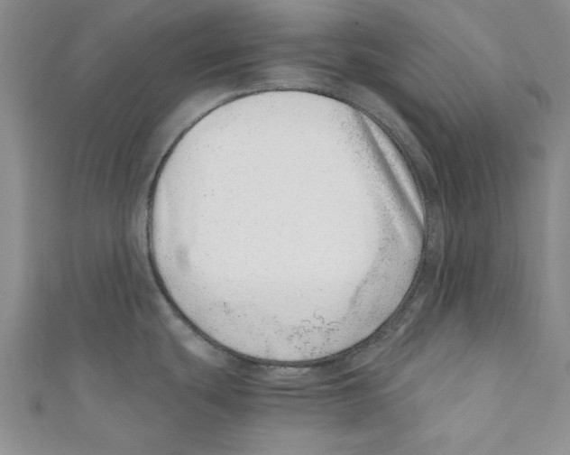 X0000110671439200907101057