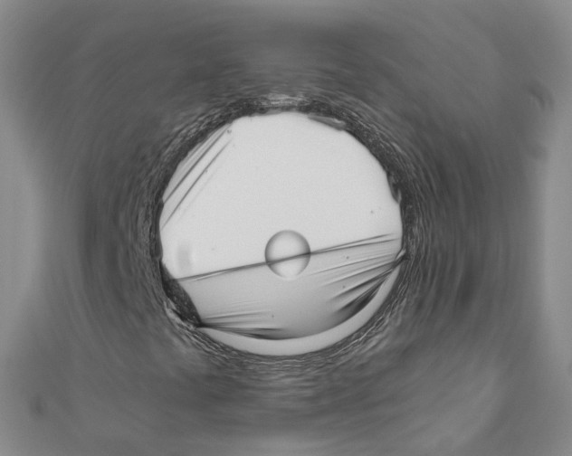 X0000110671441200907101056