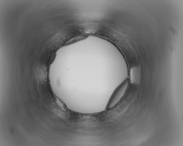 X0000110671443200907101056