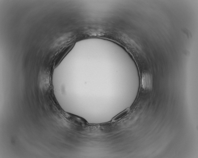 X0000110671444200907101056