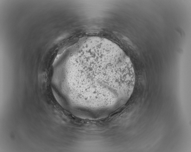 X0000110671445200907101056