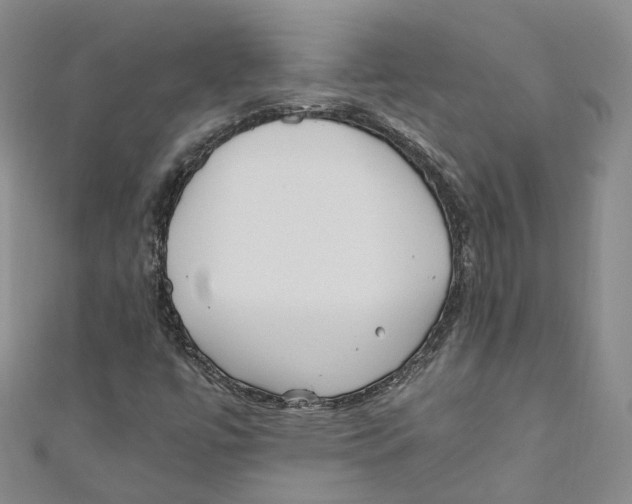 X0000110671447200907101056