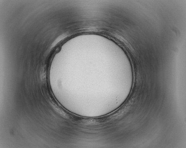 X0000110671450200907101056