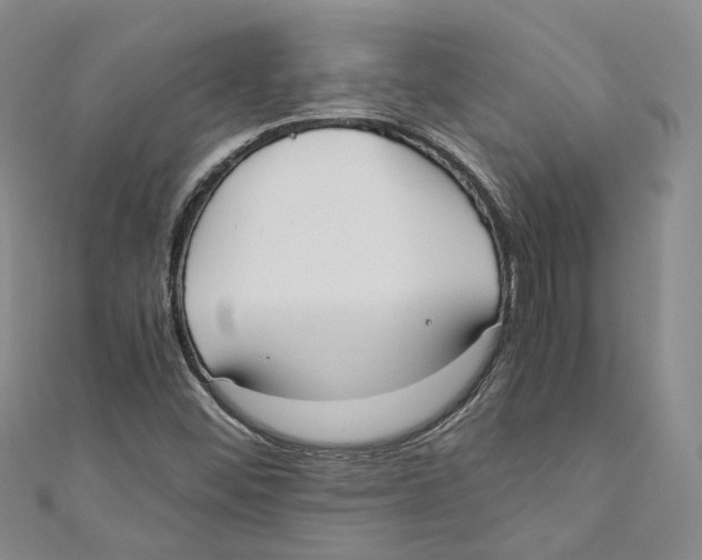 X0000110671452200907101056