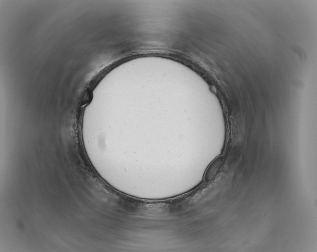 X0000110671453200907101056