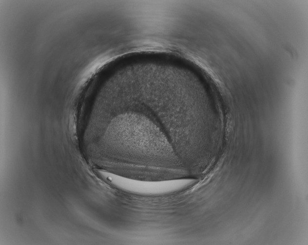 X0000110671455200907101056