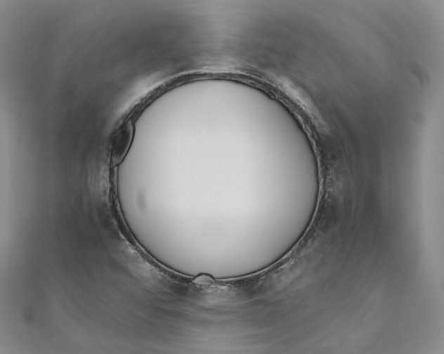 X0000110671456200907101056