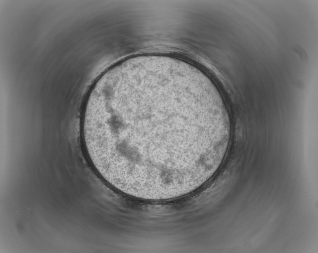 X0000110671459200907101056