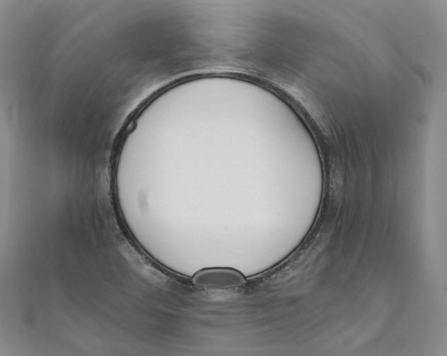 X0000110671460200907101056