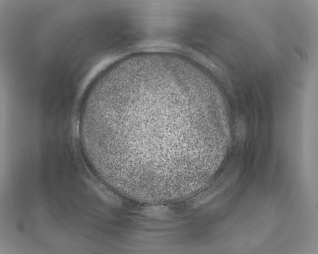X0000110671462200907101056