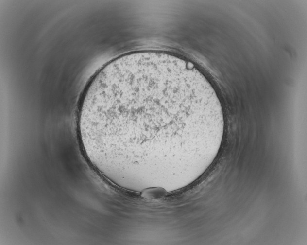 X0000110671463200907101056