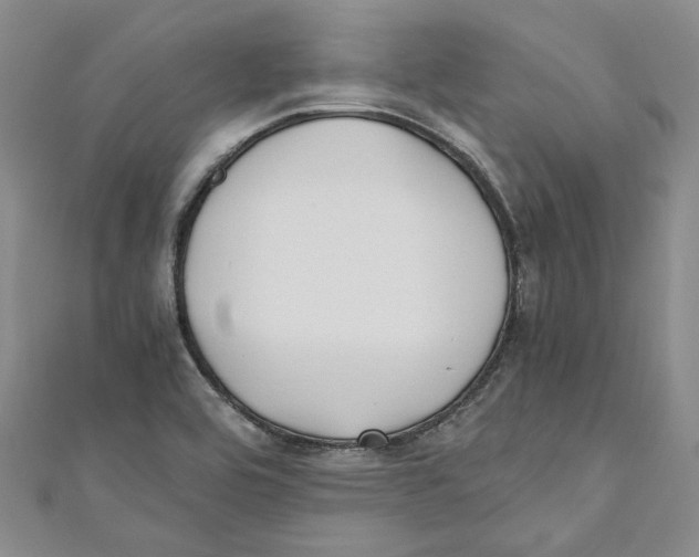 X0000110671464200907101056