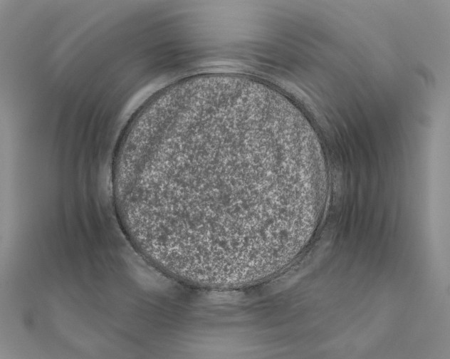 X0000110671466200907101056