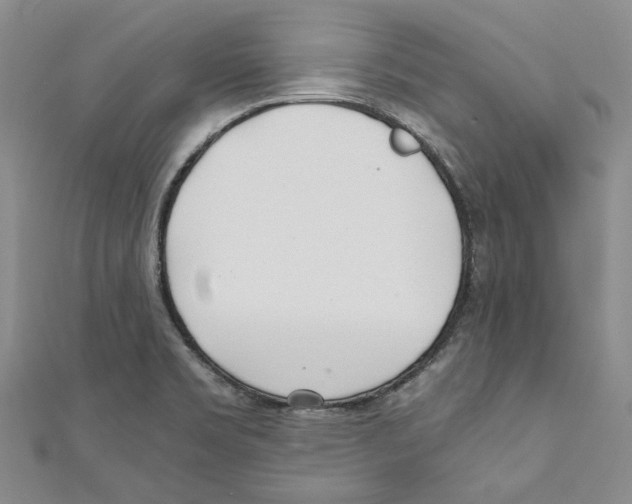 X0000110671469200907101056
