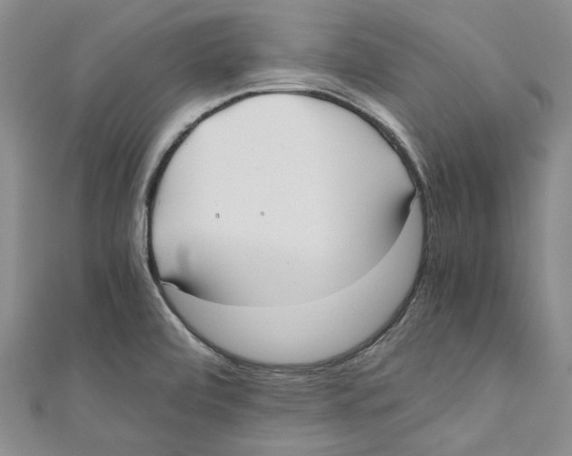 X0000110671472200907101056