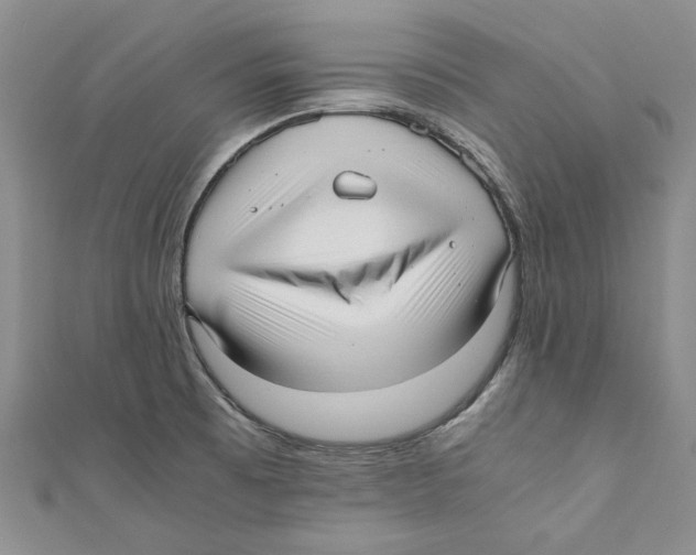 X0000110671473200907101056