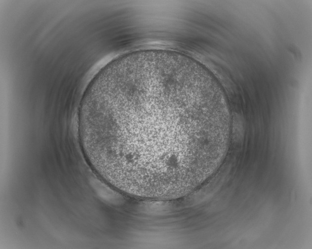 X0000110671474200907101055