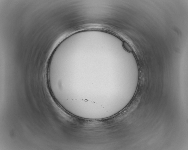 X0000110671475200907101055