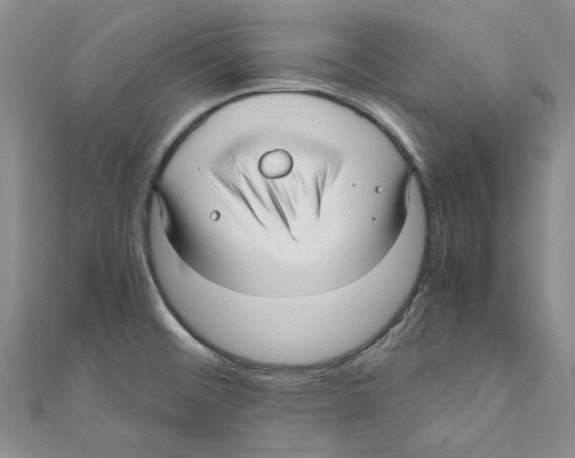X0000110671476200907101055