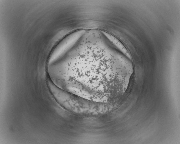 X0000110671477200907101055