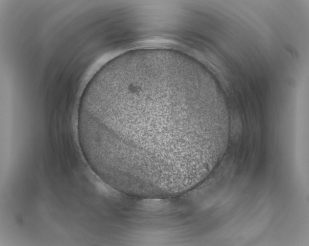 X0000110671478200907101055