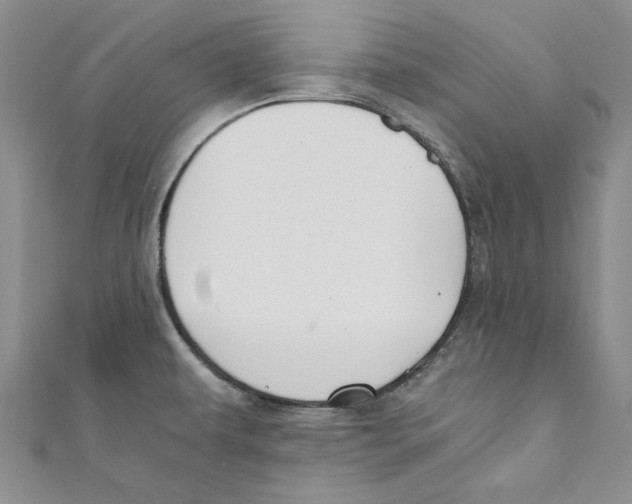 X0000110671479200907101055