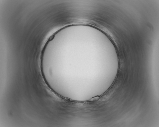 X0000110671480200907101055