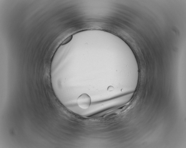 X0000110671481200907101055