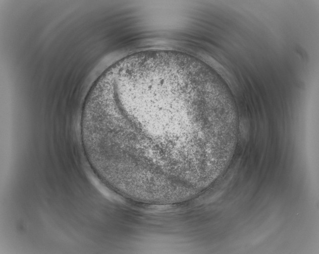 X0000110671482200907101055