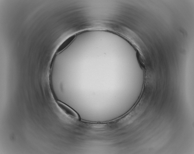 X0000110671484200907101055