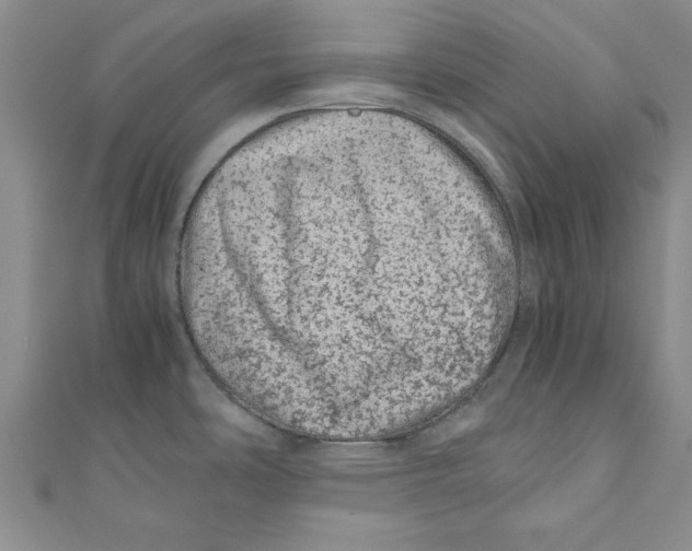 X0000110671486200907101055