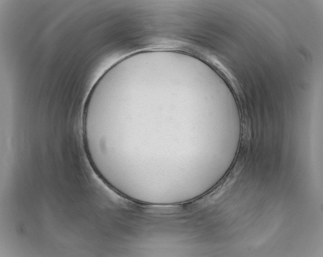 X0000110671487200907101055