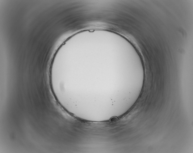 X0000110671488200907101055