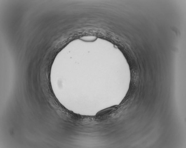 X0000110671489200907101055